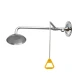 Wall-mounted Shower & Eye Wash SS 304/ABS EW-WS1, WS2 Scitek Global